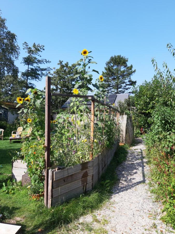 Ecolodge De Parel Schoorl Bagian luar foto