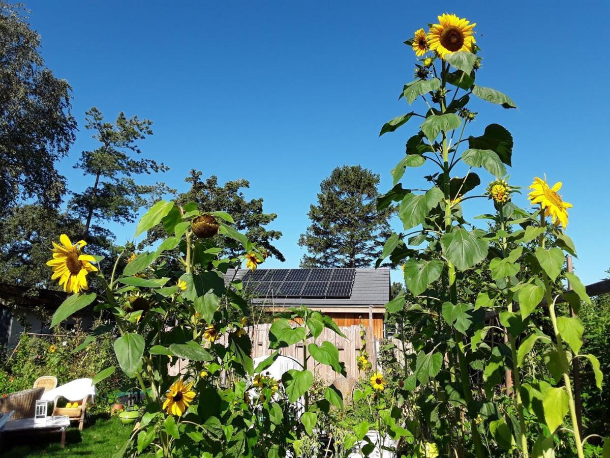 Ecolodge De Parel Schoorl Bagian luar foto